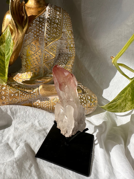 Red scarlet lemurian with stand