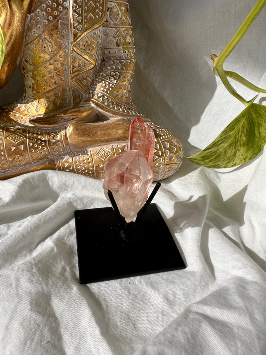 Red scarlet lemurian with stand